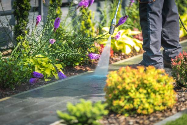 Trusted New Port Richey East, FL Pressure Washing Services Experts